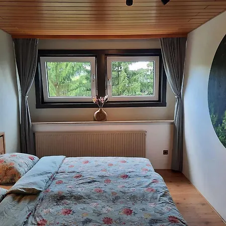 Lejlighed In Der Naehe Von Willingen, Cleaning Included