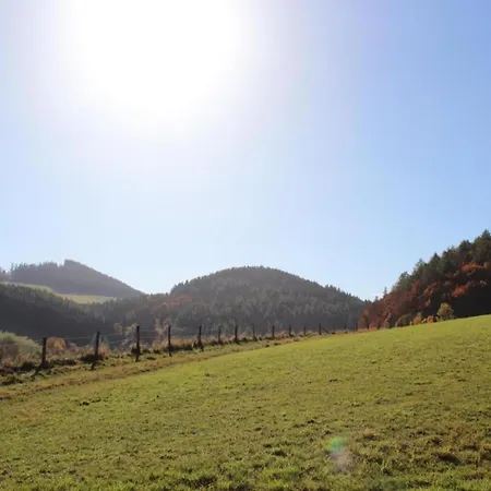 In Der Naehe Von Willingen, Cleaning Included * Willingen (Upland)