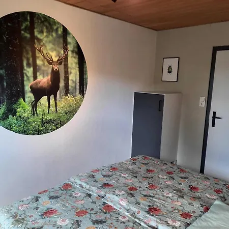 Lägenhet In Der Naehe Von Willingen, Cleaning Included