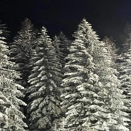 Lejlighed In Der Naehe Von Willingen, Cleaning Included Willingen (Upland)