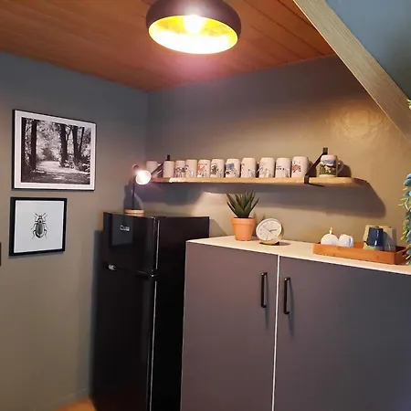 In Der Naehe Von Willingen, Cleaning Included * 빌링겐