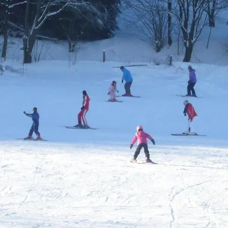 Apartamento In Der Naehe Von Willingen, Cleaning Included Willingen (Upland)