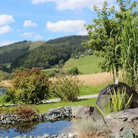 In Der Naehe Von Willingen, Cleaning Included Lejlighed