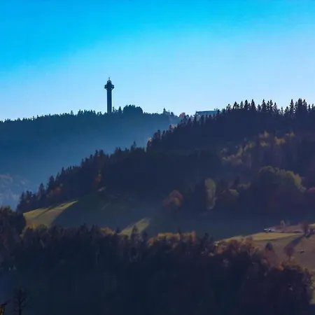 In Der Naehe Von Willingen, Cleaning Included Apartamento Willingen (Upland)