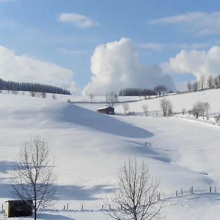 Apartamento In Der Naehe Von Willingen, Cleaning Included Willingen (Upland)