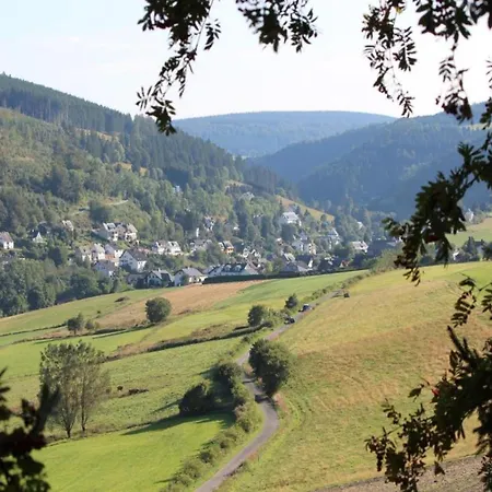 아파트 In Der Naehe Von Willingen, Cleaning Included