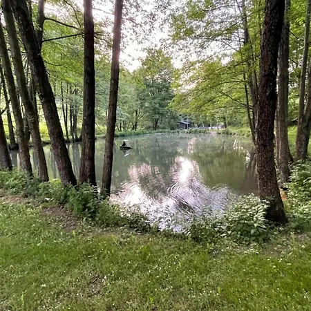 In Der Naehe Von Willingen, Cleaning Included *