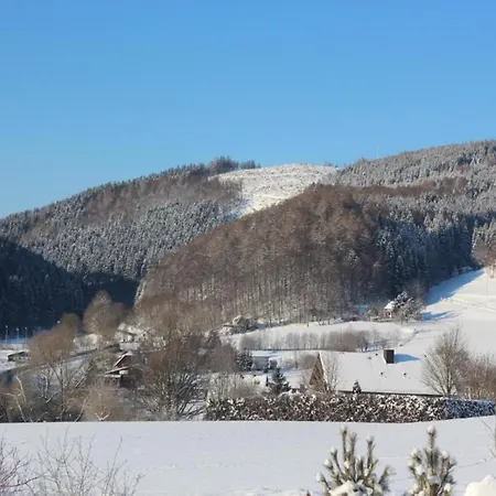 In Der Naehe Von Willingen, Cleaning Included Lejlighed *