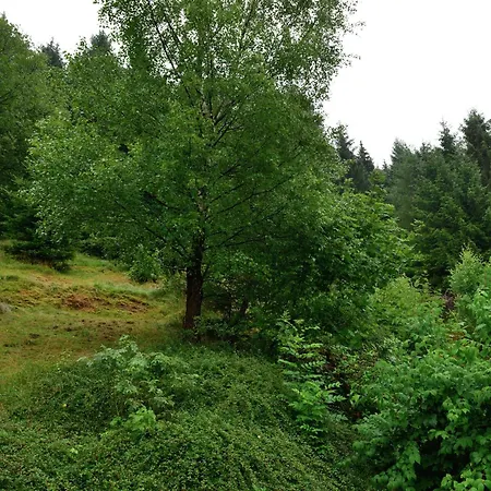 아파트 In Der Naehe Von Willingen, Cleaning Included 빌링겐