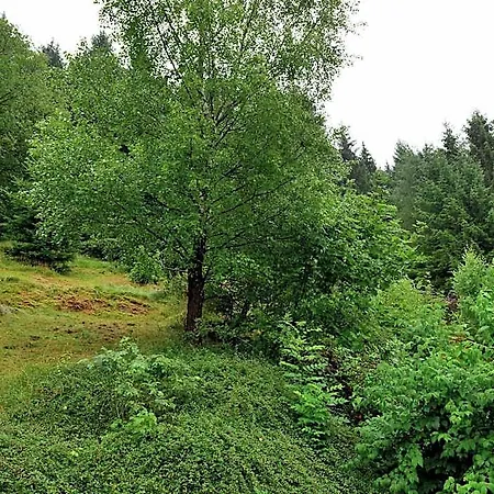 In Der Naehe Von Willingen, Cleaning Included Apartment *