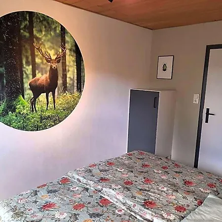 In Der Naehe Von Willingen, Cleaning Included Apartment