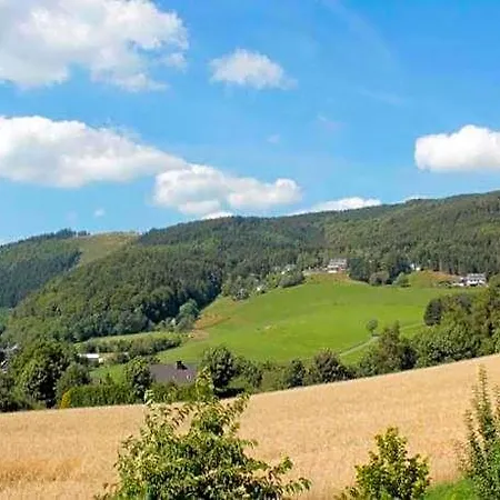 In Der Naehe Von Willingen, Cleaning Included * Willingen (Upland)