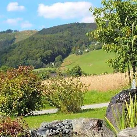 In Der Naehe Von Willingen, Cleaning Included Apartment