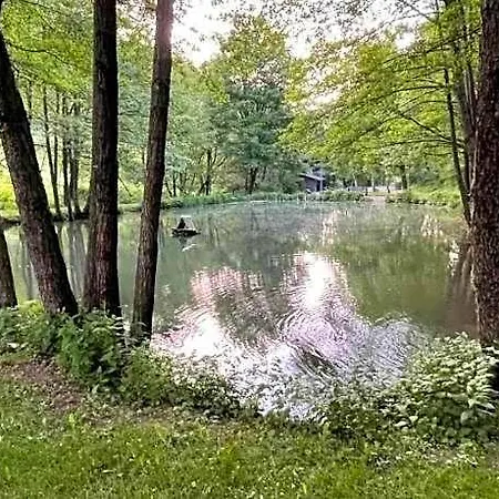 In Der Naehe Von Willingen, Cleaning Included Apartment Willingen (Upland)