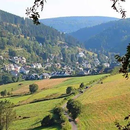 Apartment In Der Naehe Von Willingen, Cleaning Included Willingen (Upland)