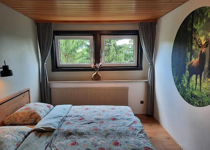 Apartment In Der Naehe Von Willingen, Cleaning Included