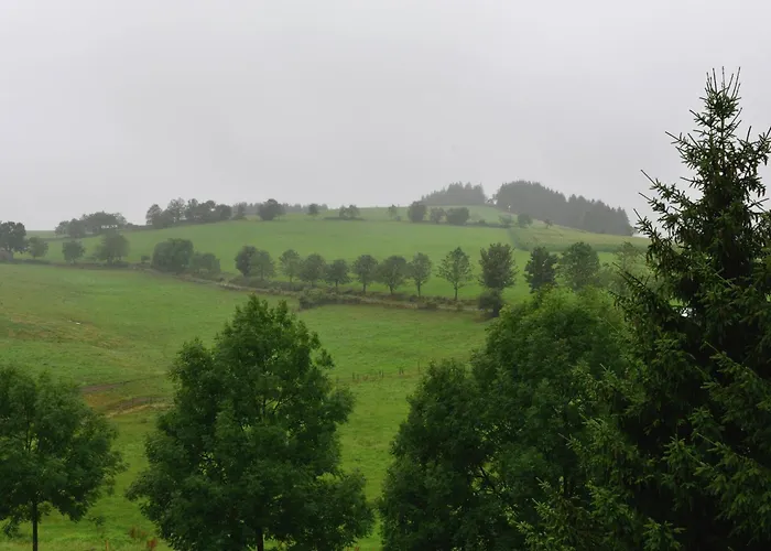 아파트 In Der Naehe Von Willingen, Cleaning Included