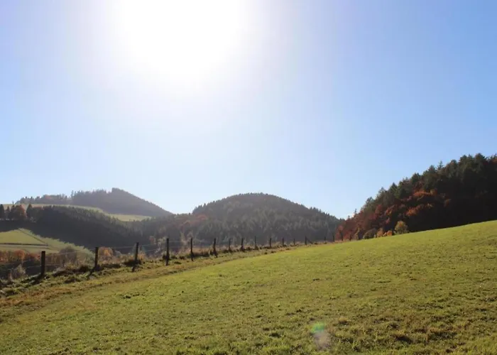 In Der Naehe Von Willingen, Cleaning Included * 빌링겐