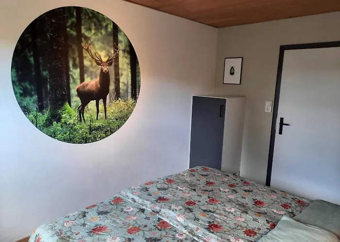 Apartment In Der Naehe Von Willingen, Cleaning Included