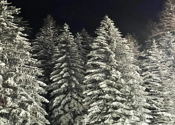 Apartment In Der Naehe Von Willingen, Cleaning Included Willingen (Upland)