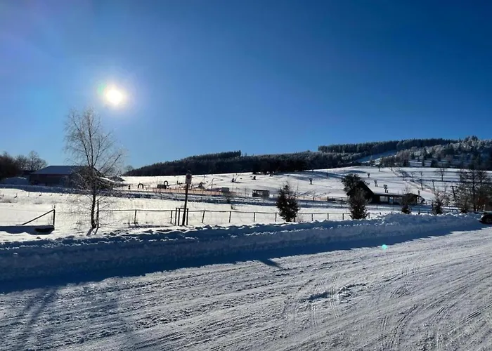 In Der Naehe Von Willingen, Cleaning Included Apartment *