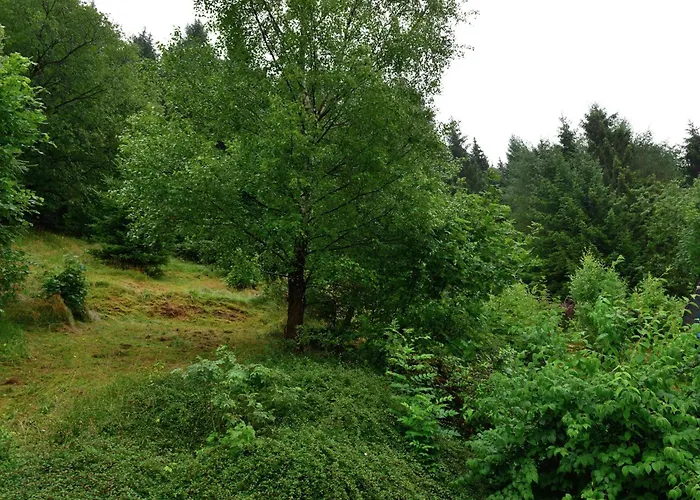 Apartment In Der Naehe Von Willingen, Cleaning Included Willingen (Upland)